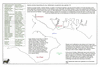sta34 rattlesnake crew_thumb.gif